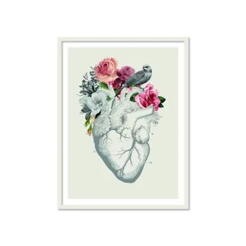 CORAZON
