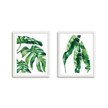 Set Hojas Tropicales