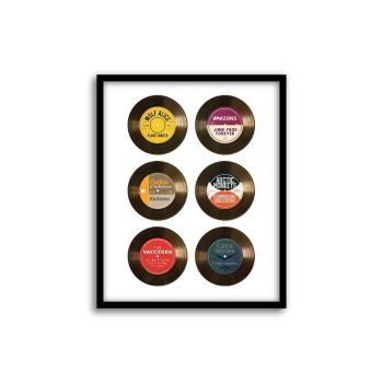 Vinilos