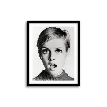Twiggy 3