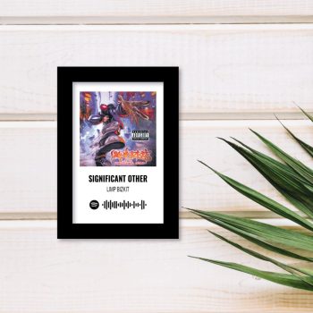 Cuadro de Colección: 10x15 con Código Spotify- Limp Bizkit: Significant Other