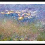 “Water Lilies” de Claude Monet