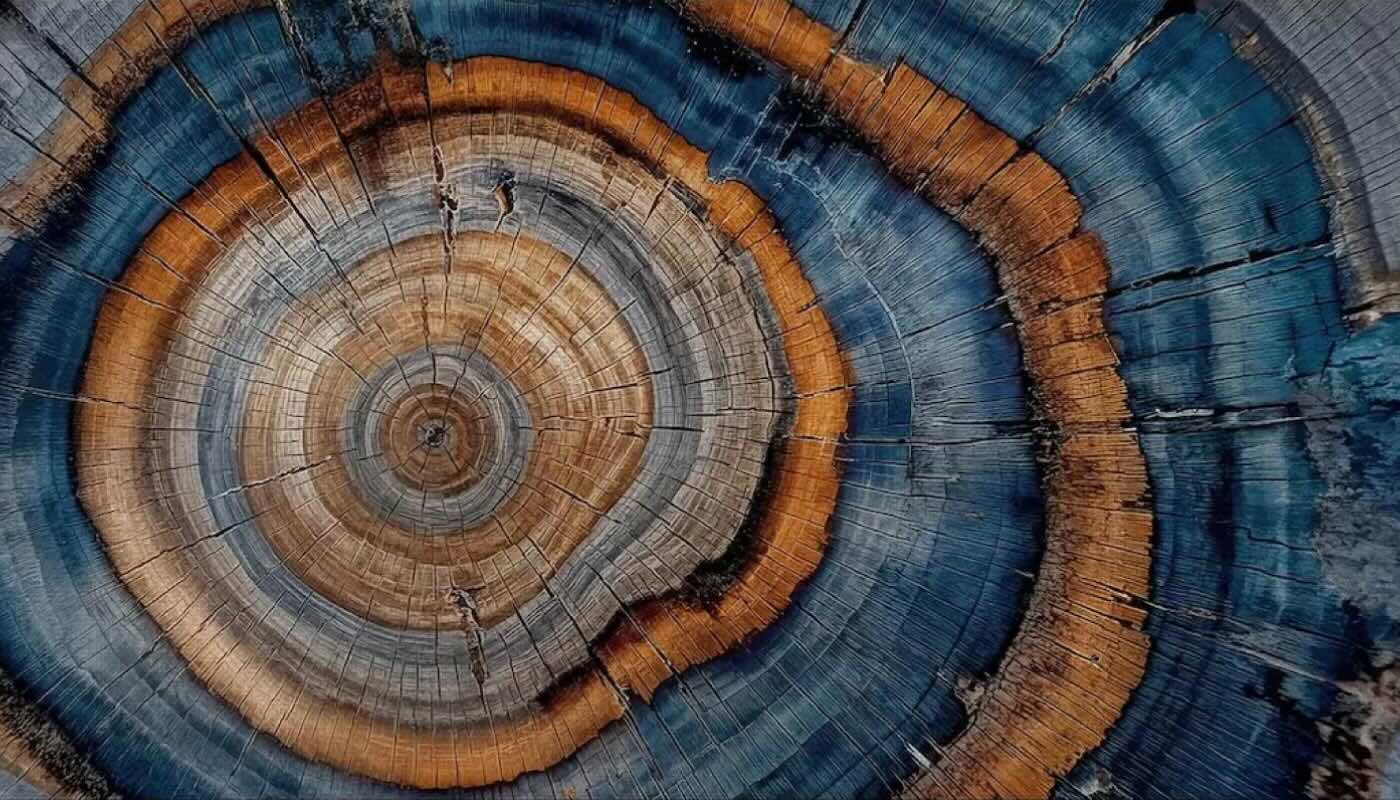Anillos del Tiempo | Arte Abstracto Orgánico Canvas XL - Imagen 2
