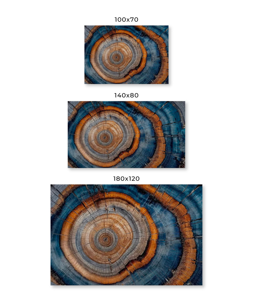 Anillos del Tiempo | Arte Abstracto Orgánico Canvas XL - Imagen 3
