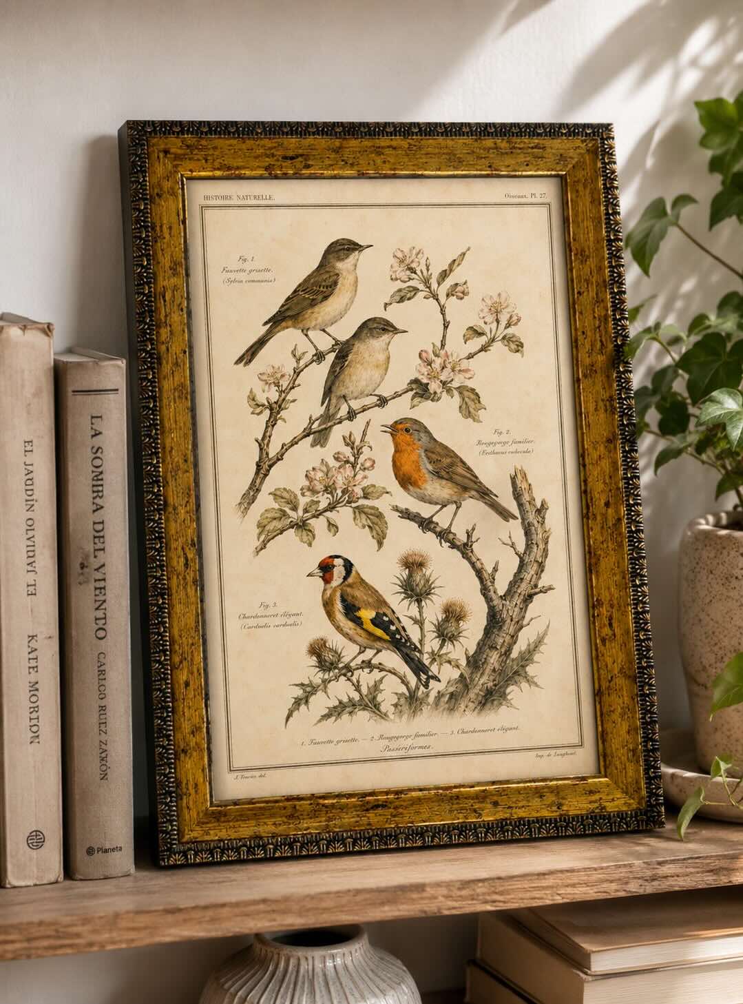 Lámina aves vintage de historia natural con marco 25x35 cm