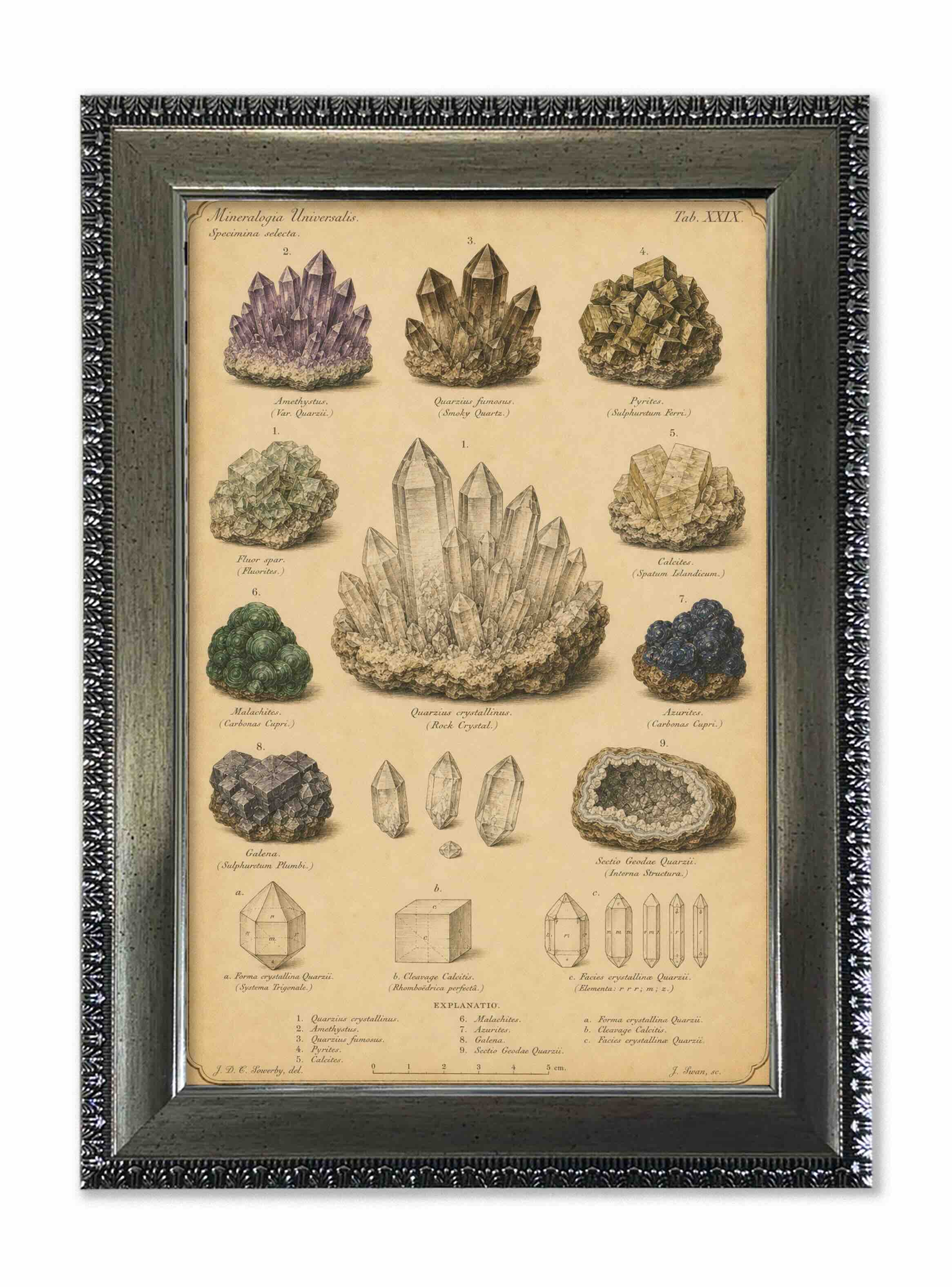 Lámina minerales vintage de historia natural con marco 25x35 cm